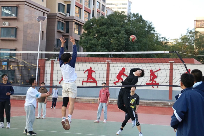 们在各个领