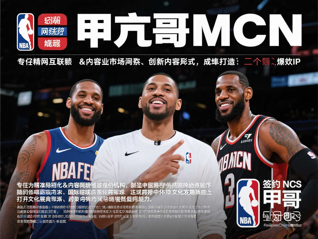 的方案